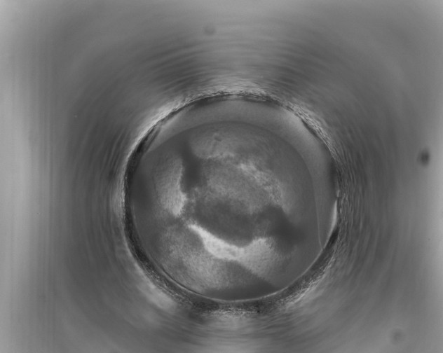 X0000095550630200712211410