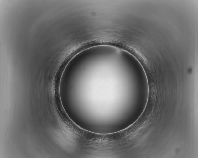 X0000095550631200712211410