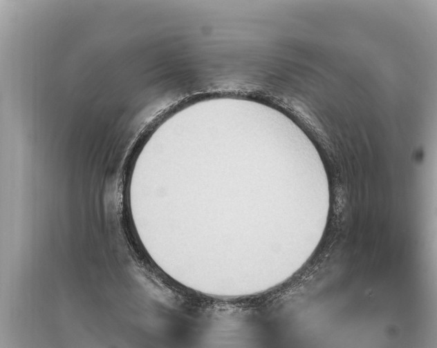 X0000095550632200712211410