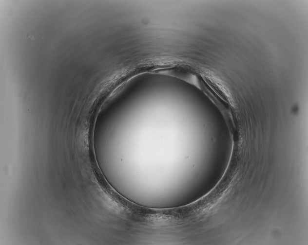 X0000095550633200712211410