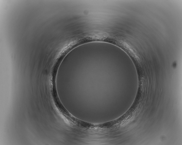 X0000095550634200712211410