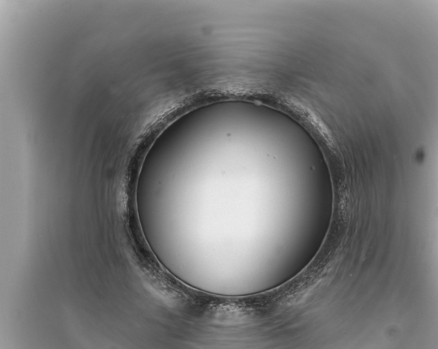 X0000095550635200712211410