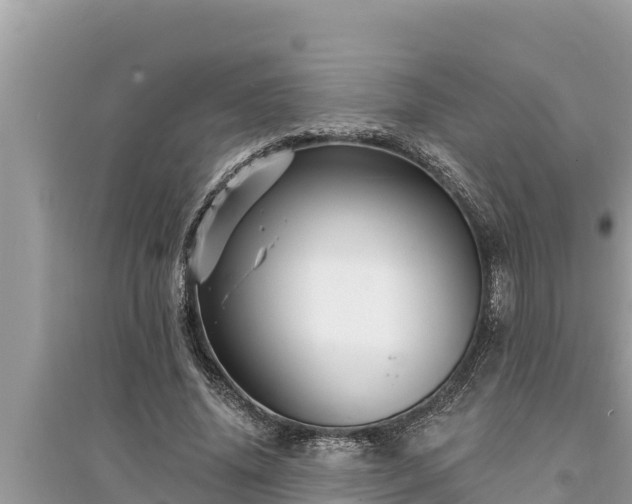 X0000095550636200712211410