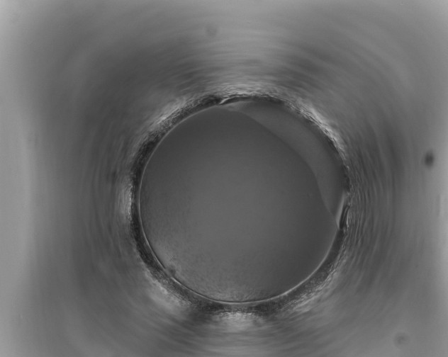 X0000095550637200712211410