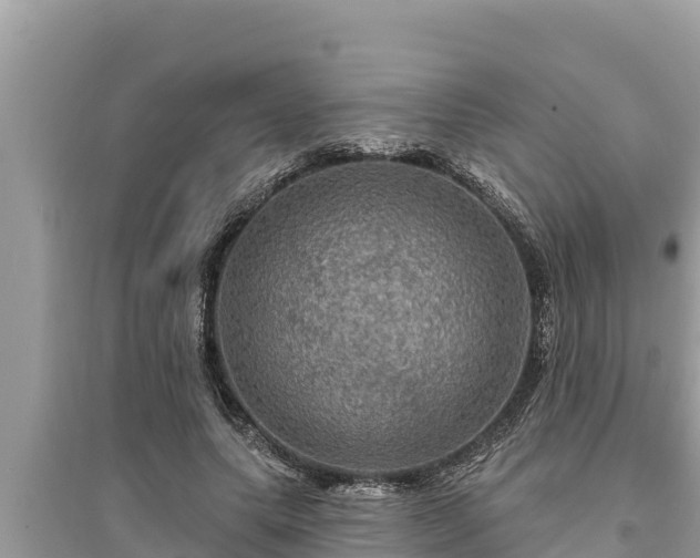 X0000095550639200712211410