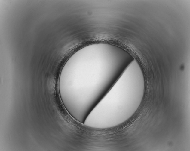 X0000095550640200712211410