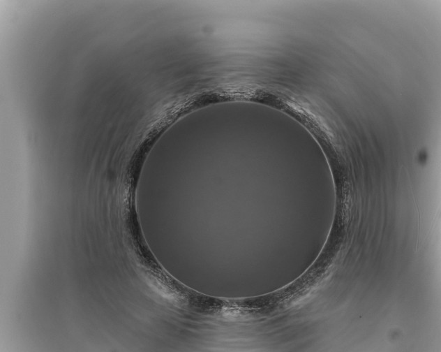 X0000095550641200712211410