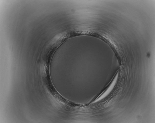 X0000095550643200712211410