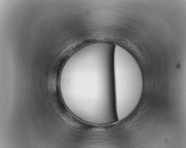 X0000095550644200712211410