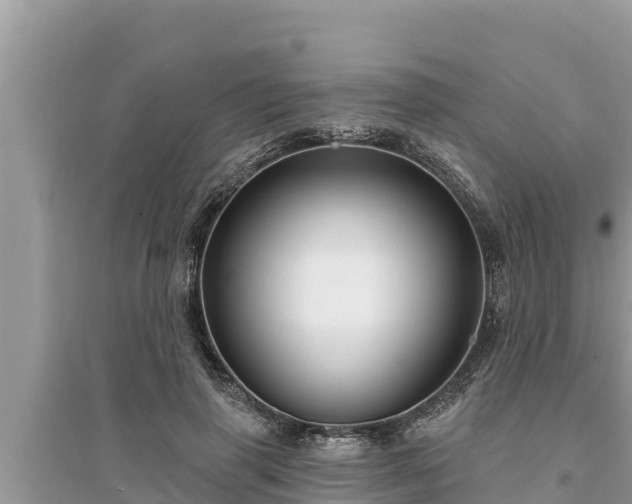 X0000095550645200712211410