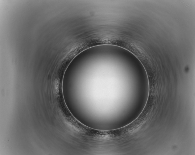 X0000095550646200712211410