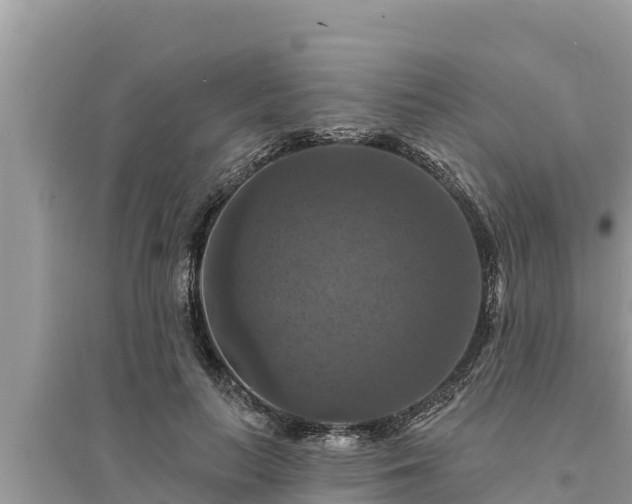 X0000095550647200712211410