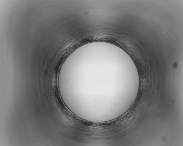 X0000095550648200712211410