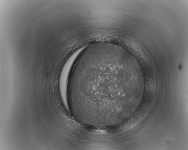 X0000095550649200712211410