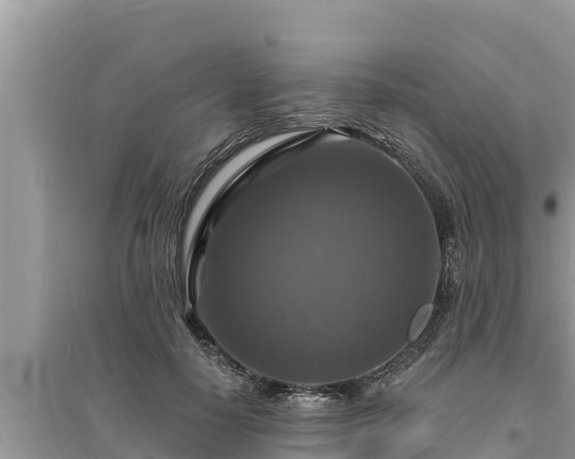 X0000095550650200712211410