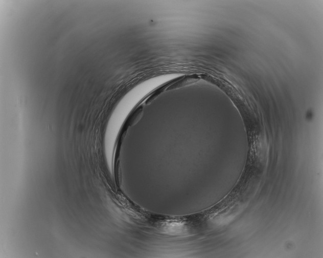 X0000095550651200712211410