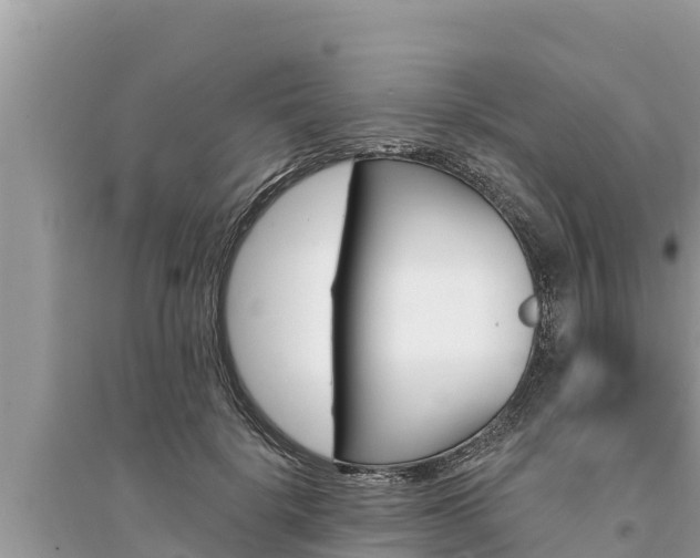 X0000095550652200712211410