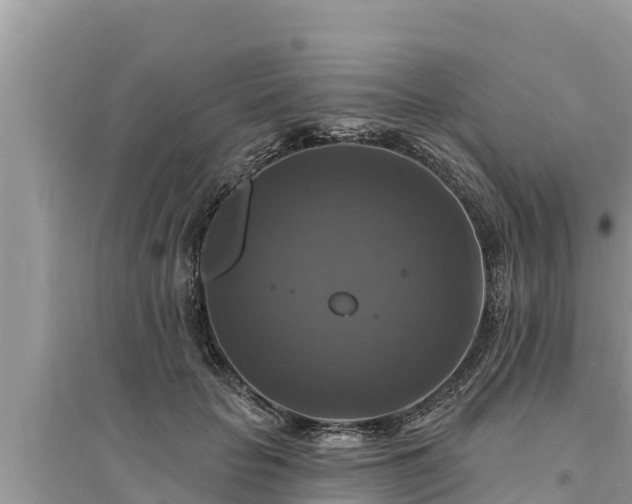 X0000095550653200712211410