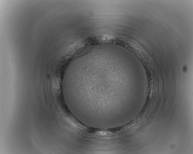 X0000095550654200712211410