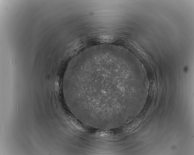 X0000095550655200712211410