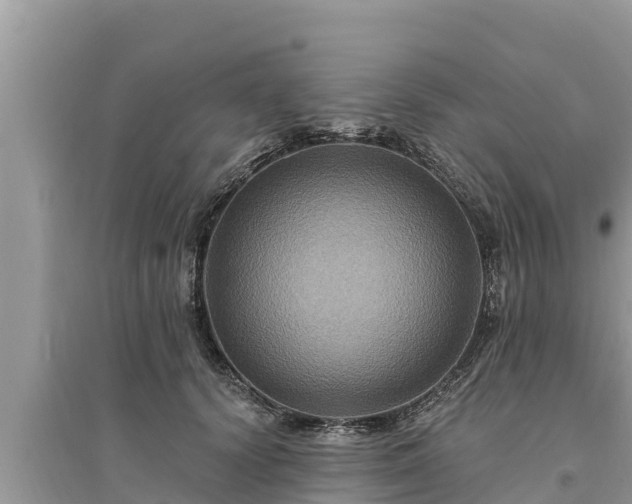 X0000095550656200712211410