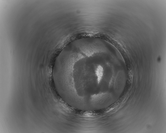 X0000095550657200712211410