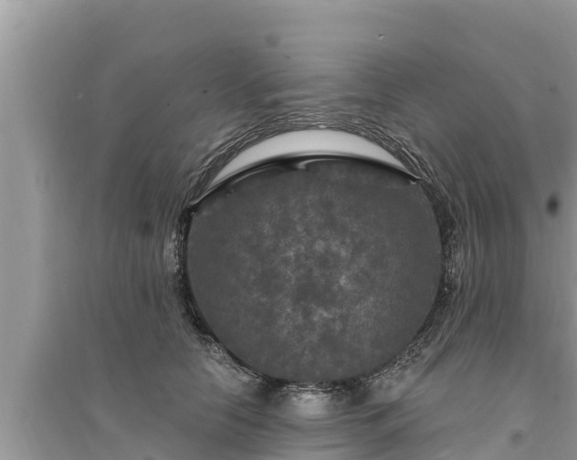 X0000095550658200712211410