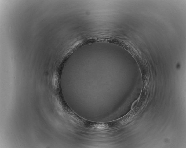 X0000095550659200712211410