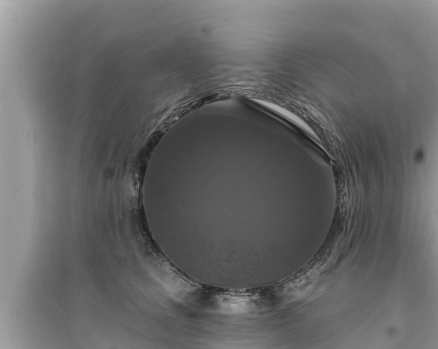 X0000095550661200712211410