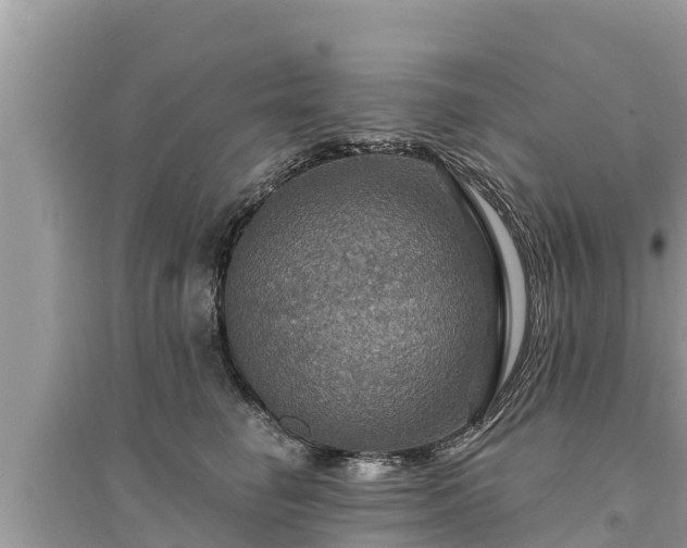 X0000095550662200712211410