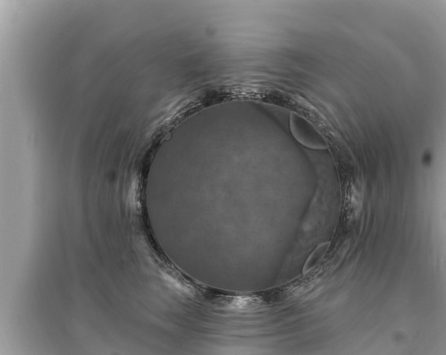 X0000095550663200712211410