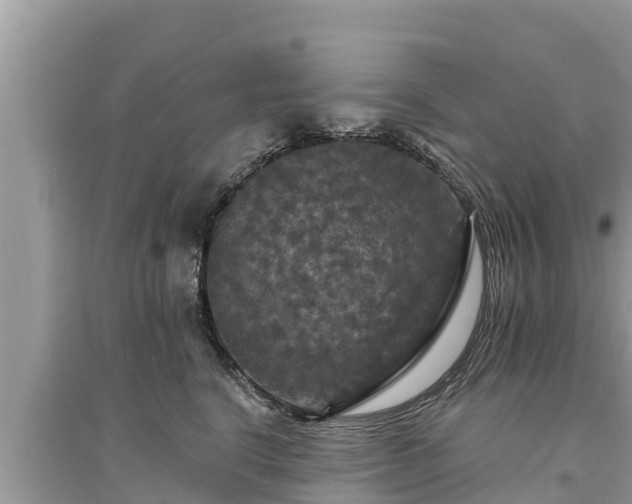 X0000095550664200712211411