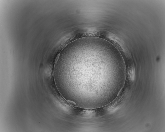 X0000095550665200712211411