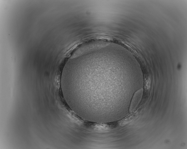 X0000095550666200712211411