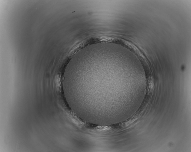 X0000095550667200712211411