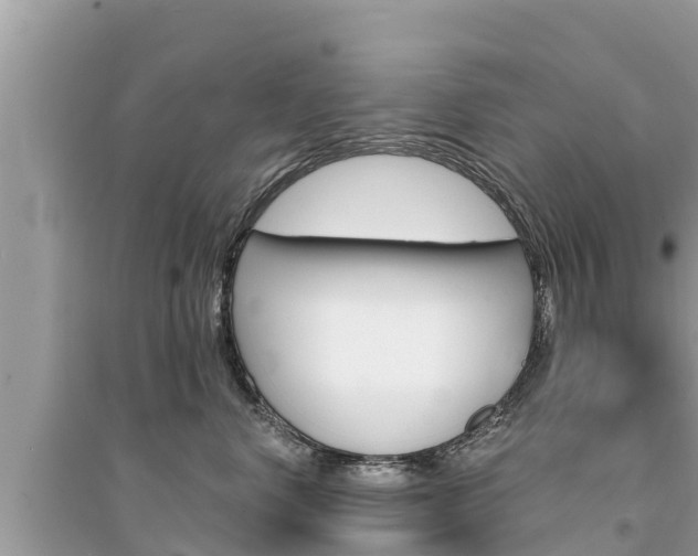 X0000095550668200712211411