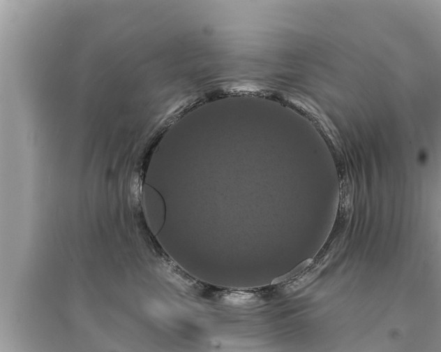 X0000095550669200712211411