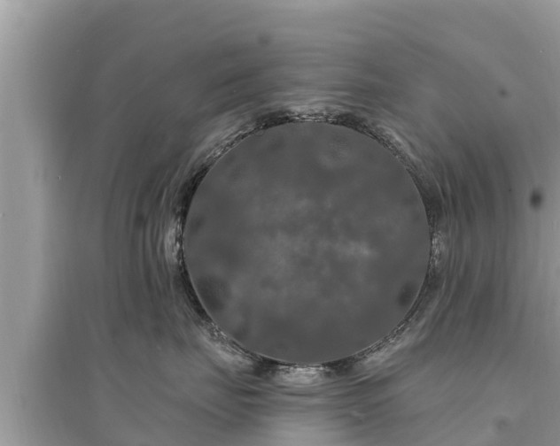 X0000095550671200712211411