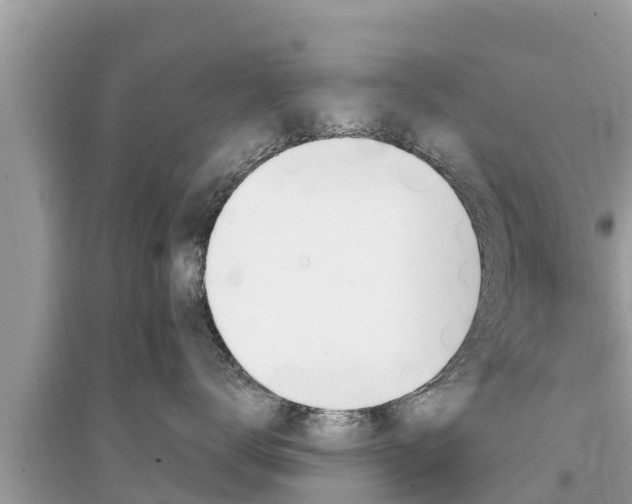 X0000095550672200712211411