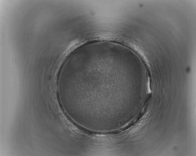 X0000095550673200712211410