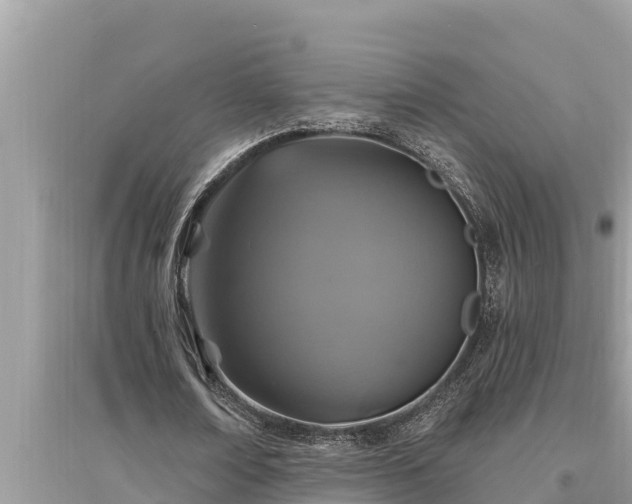 X0000095550674200712211410