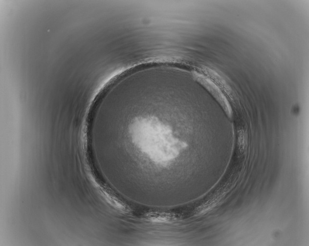 X0000095550676200712211410