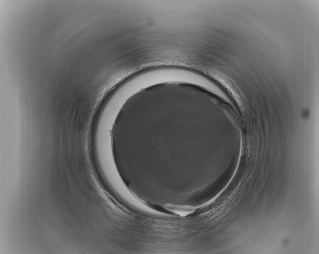 X0000095550677200712211410