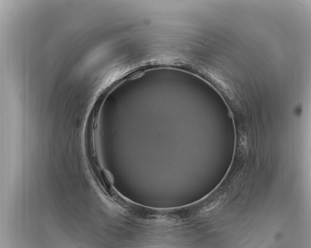 X0000095550678200712211410