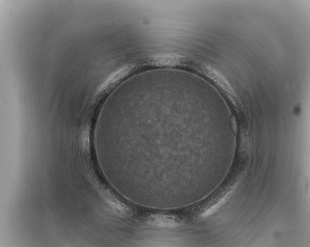 X0000095550681200712211410