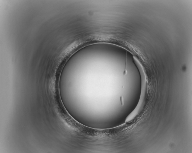 X0000095550682200712211410