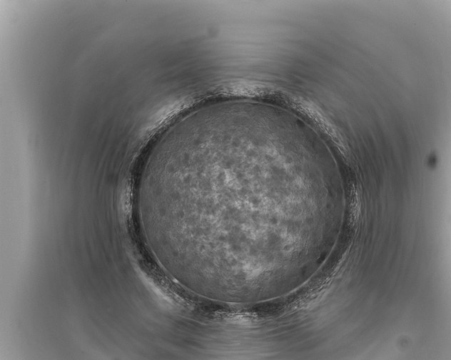 X0000095550683200712211410