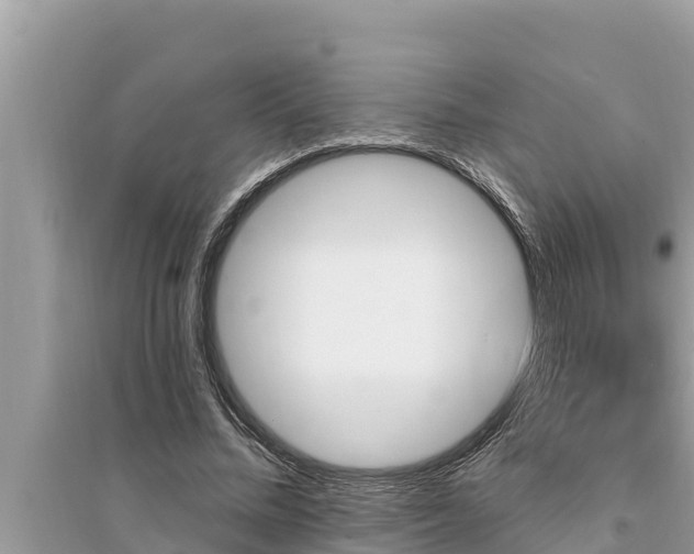 X0000095550684200712211410