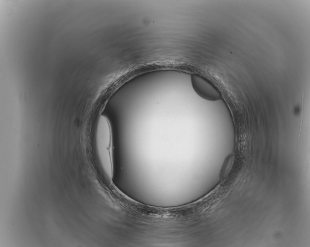 X0000095550688200712211410