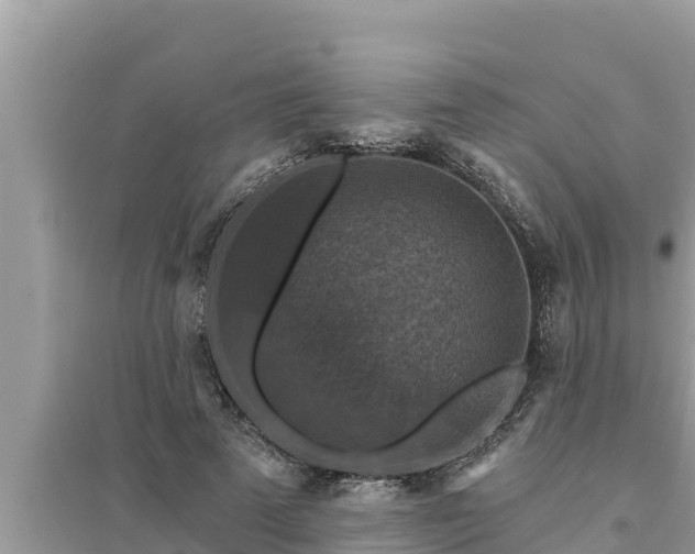 X0000095550689200712211410